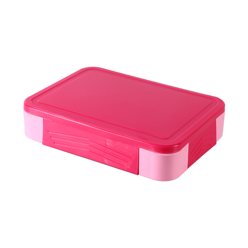 Food Storage Container For Adult Kids All-In-One Lunch Box